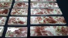 Lot Of 45 Reclaimed Multi Colored 6    3  Ceramic Fireplace Tiles