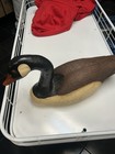 Large Body Canadian Goose Decoy Ducks Unlimited