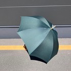 Louis Vuitton 3657 Epicea Dark Green Umbrella Long Umbrella Rain Umbrella Sun Um