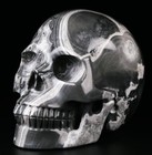Huge 5 0  Picasso Jasper Carved Crystal Skull  Realistic  Crystal Healing