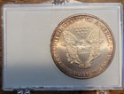 1999 American Silver Eagle  999 Silver 1 Oz Coin in Flag Holder Naturally Toned 