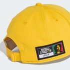 Adidas Men Jamaica 26 Baseball Cap