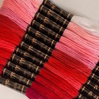 12 Skeins Embroidery Thread  12 Colors Floss 1 Pack  Red Series 