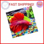 Keedolla Colorful Clear Sea Glass Pebbles Aquarium Gravel Fish Tank Rocks Small 