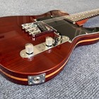 Tl 6-string Electric Guitar Solid Body Maple Neck Fast Shipping