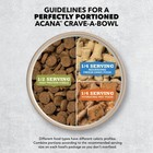 Ingredient Grain Free High Protein Dry Dog Food Beef   Pumpkin Recipe 4 5lb Bag