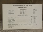 Vintage  eruption Dates Of The Teeth teeth Of A Seven Year Old Child  Card