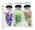 Aquarium Decor 3 Large Bottles Suction Cups Plants Turtles Pets Rest Platform