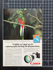 Canon Fd 300mm F 2 8l Camera Quetzal Bird Central America Vintage Print Ad 1985
