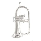 Brand New Professional Flugelhorn Gold Lacquer With Case Profession 