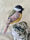 Chickadee On Tourmaline In Quartz  7 1 4  -peter Muller