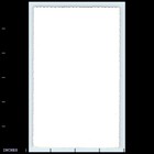 Vintage Photo Woman Standing Outside House Glasses