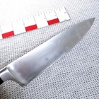 Wusthof Classic Chef Knife 8  4582-20cm Forged Professional