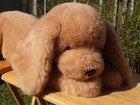 Rare Vintage Gund - 34  - Jumbo Muttsy Dog -  1365 - 1985 - Very Nice