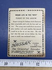 Flight Of The Arrow 1910 Hassan Cigarettes Tobacco Card Indian Life 1860s