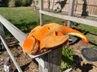 Sleeping Charizard Custom Plush Pokemon 