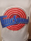 Looney Tunes Space Jam Tune Squad Basketball Jersey Adult Medium M Lola 10 White