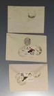 Sd Bhutan 3 Cover With 1970  Birds Surcharged Stamps   115a  117f  117k Cat   15