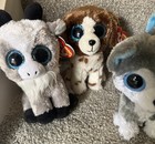 Ty Beanie Boos Lot Dogs Cats Lot 22 Plush Rare Fox