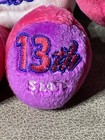 Rhode Island State Bear   Quarter 13th Limited Treasures Coin Plush Beanie
