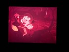 Gulliver s Travels - Fleischer Animation - 16mm Sound Feature     Pink Color