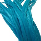  Rooster Coque Tail Feathers 14-16inch 35-40cm  For Costume Diy Turquoise