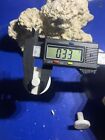 100 Cured Reef Plugs For Live Coral Frag Propagation  Great For Sps Lps Zoo Zoa