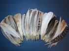 10 Pairs Turkey Wing Feathers  Amazing Feathers  Fly Tying Materials craft Tools