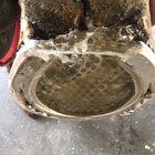 Equimix Ultra Soft Pour-in Horse Hoof Pad 200ml Cartridge   Two Application Tips