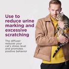 Comfort Zone Cat Calming Diffuser Refills  6 Pack 6 