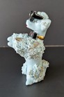 1950 Kitsch Lt Blue Porcelain Spaghetti Poodle  Figurine W  Black Cateye Glasses