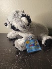 Webkinz Ganz Raccoon Hm143 Nwts Unopened Sealed Code
