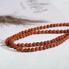 Rudraksha Mala 108 Beads 10mm Bead Prayer Buddhist Necklace