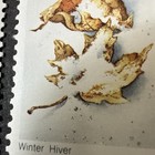 Canada 538   538ii Matched Plate Block Set      snow Bug    Variety Mnh 1971 Winter
