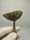 Nwa 17756 Ll3 Meteorite 11 0 Gram Full Slice  subtype 3 3  W Abundant Chondrules