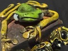 Decorative Vintage Tree Frog Molded Clay Wooden Trinket Box Costa Rica Souvenir