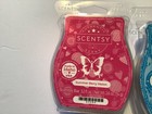 Scentsy Lot Bars melts  Set Of 3 ocean Shimmer palm Trees  see Description 
