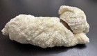 Ty Classic Tidbit Dog Puppy Plush W hang Tag 12  2001 Good Condition Used