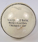 A g  Thompson 156g Solid Hide Cricket Ball Australia Ricky Ponting Cricket Camp