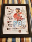 Alexander Ovechkin 895 Goals  Framed 16x20 Photo Fanatics All Historic Goals