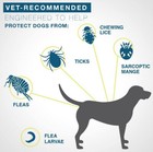 2x Seresto Flea tick Collar For Large Dogs 18lbs 8months Protection Us Stock New