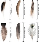 Natural Feathers Bulk - 55pcs - 6 Styles Assorted Natural Feathers  Peacock