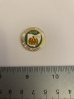 Elks 1699 Barnesville Oh Home Of Ohio Pumpkin Festival Lapel Pin P128