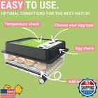 Obi-36 Egg Incubator With Automatic Egg Turning And Humidity Control   36 Egg