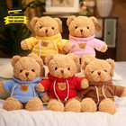 11 8 Inches Teddy Bear Stuffed Animals Soft Plush Cute Teddy Bear With Hoodie Do
