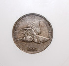 1858 Flying Eagle Cent Large Letters Anacs Xf-45 Old Soapbox Holder  Xf45  Ef