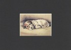 Sealyham Terrier - Custom Matted - Dog Art Print Gift - Dawson Clearance