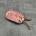 Safari Ltd Dinosaur Toy Cambrian Life Toob Naraoia Retired Rare Miniature