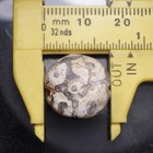 Certified Authentic Rare Ancient Etched Carnelian Bead With Fertility Pattern