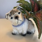 Vintage Bulldog Planter Blue Collar Blue Eyes With Plant
